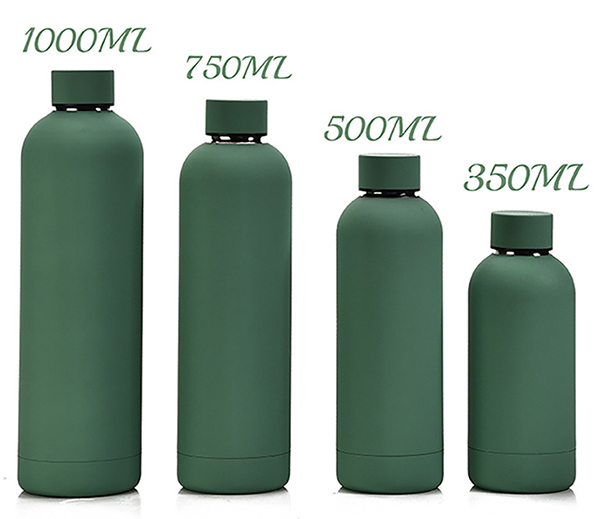 H69590 Stainless Steel Bottle 